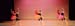 CRW_4699_crop