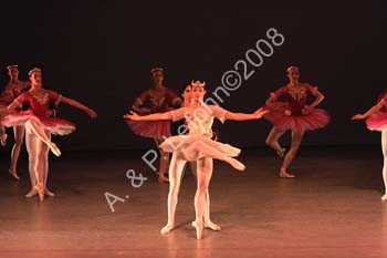 IMG_4550