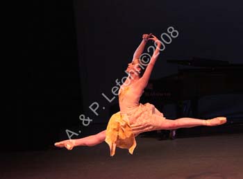 IMG_4849_crop
