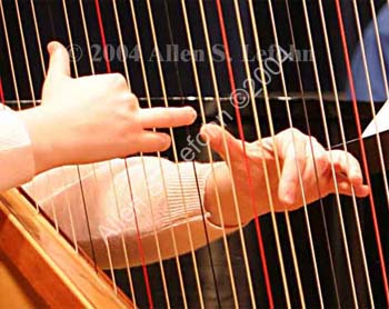 IMG_2054_crop_hands