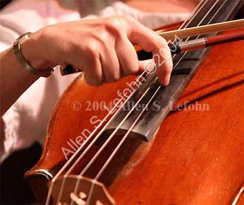 IMG_3279_crop