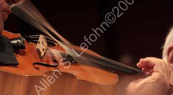 IMG_6339_crop
