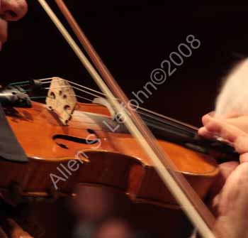 IMG_6343_crop