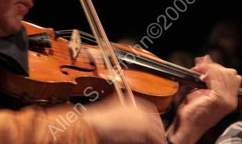 IMG_6370_crop
