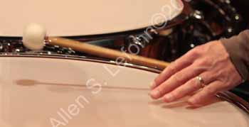IMG_6441_crop