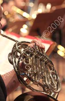 IMG_6448_crop