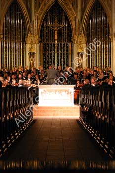 IMG_8933