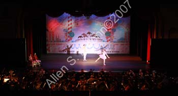 IMG_1932_crop