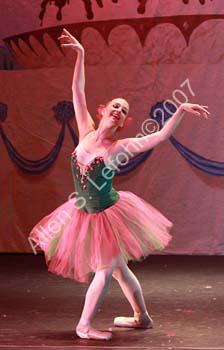 IMG_2036_crop