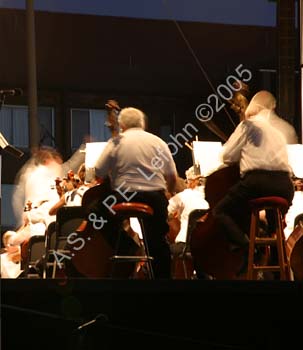 IMG_7370_crop
