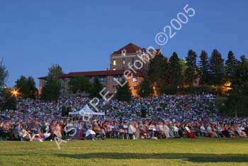 IMG_7377