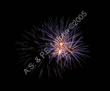 IMG_7411_crop