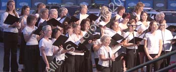 IMG_4253_crop
