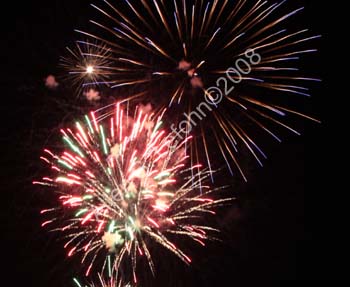 IMG_4342_crop