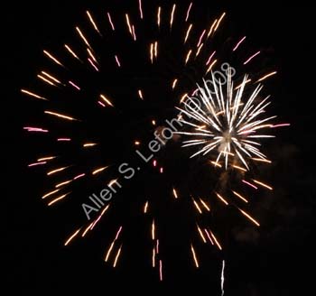 IMG_4349_crop