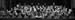 IMG_7580_crop_allan_blackened_bw