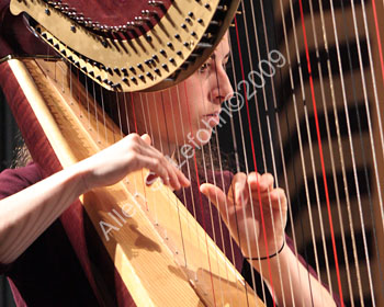 IMG_7559_crop