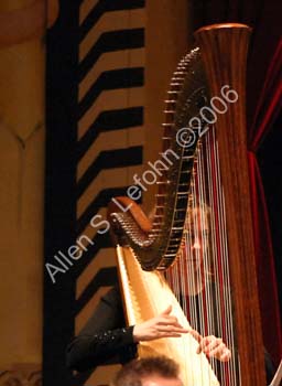 IMG_0845_crop